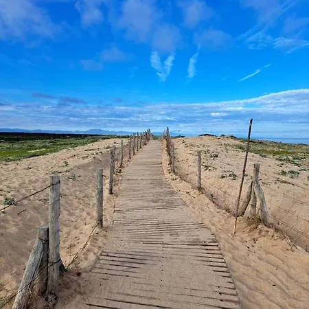Апартаменты A 200m De L Ocean A Avec Jardin Лабенн