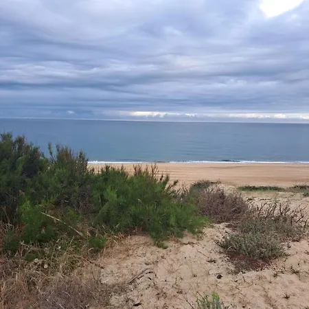 A 200m De L Ocean A Avec Jardin *